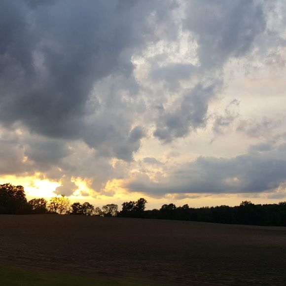 Meet your Posher, Susan - Picture 1 of 1